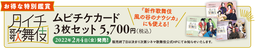 お得な特別鑑賞 ムビチケカード 3枚セット 5,700円（税込）