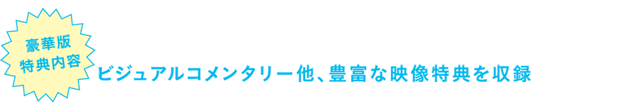 豪華版特典内容
ビジュアルコメンタリー他、豊富な映像特典を収録