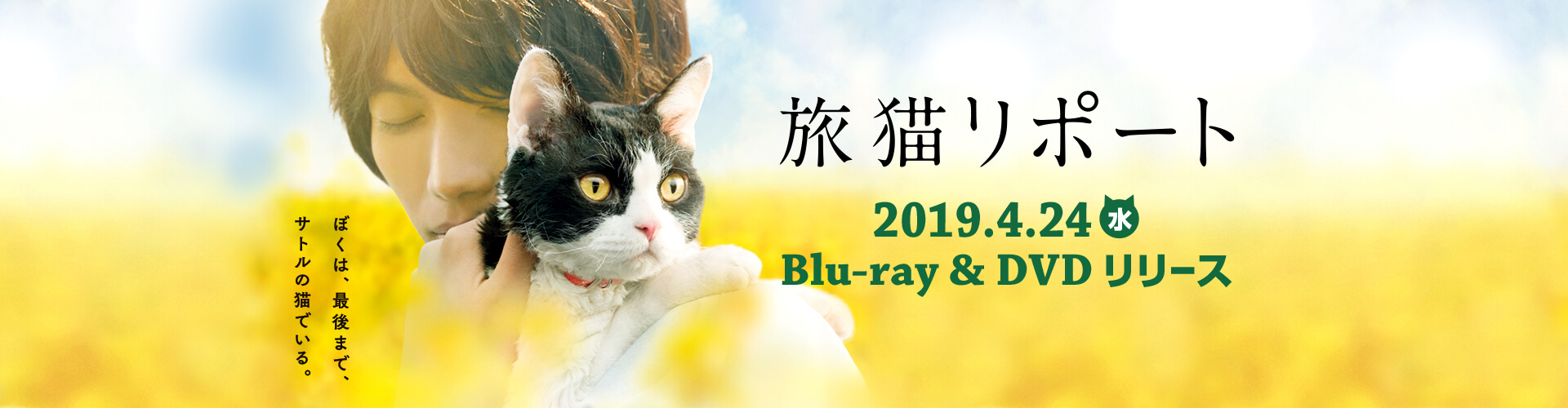 旅猫リポート 2019.4.24 水 Blu-ray&DVD リリース