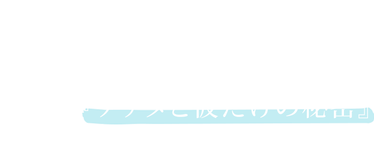 もしアイドルから手紙が 返ってきたとしても―― それは『あなたと彼だけの秘密』 でお願いしますね。