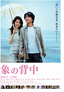 象の背中 象の背中