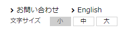 文字サイズ