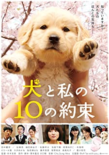 犬と私の10の約束 犬と私の10の約束