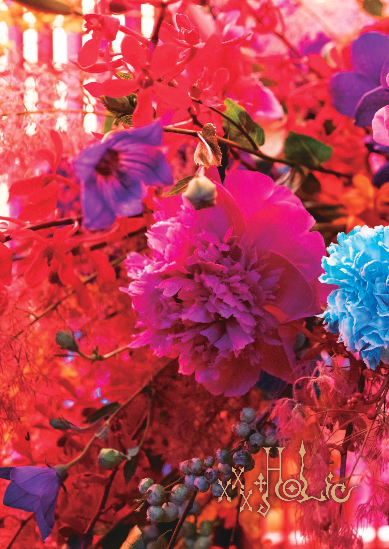 ホリック xxxHOLiC